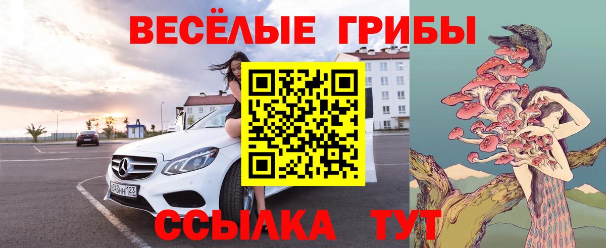 Псилоцибиновые грибы мухоморы Партизанск